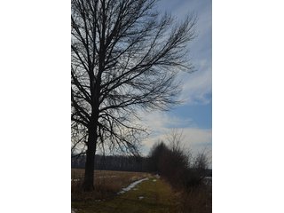 Property photo 24 - FARMLAND AUCTION, 60+/- Acres in 6 Tracts ranging from 4 to 20 acres & in combinations!